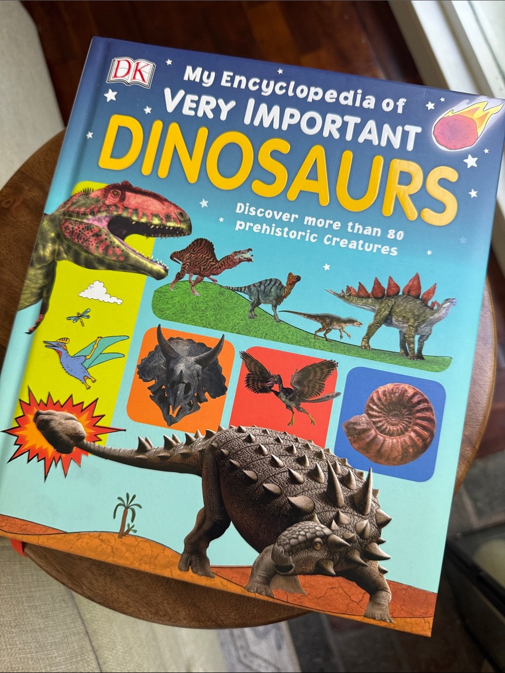 DK My Encyclopedia of Very Important Dinosaurs - Blue Cover